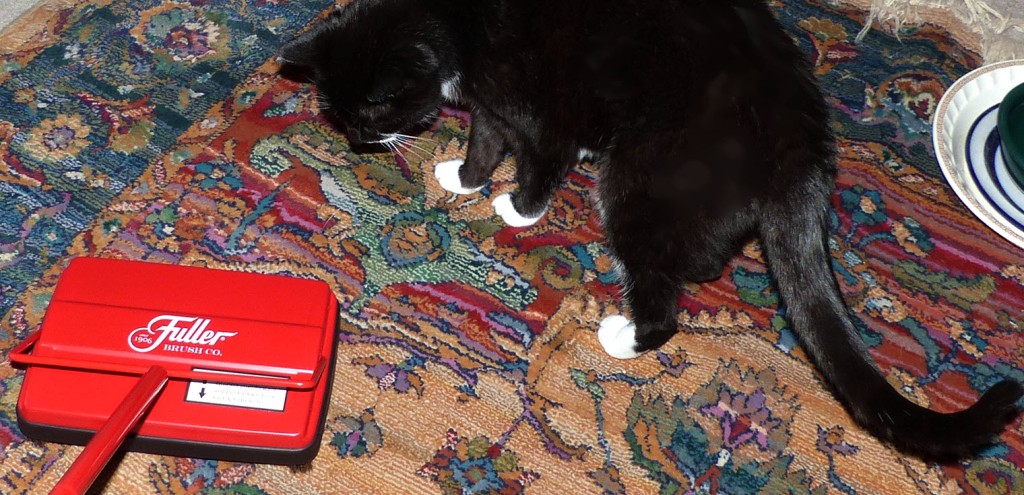 Curious Teeny Tuxedo, black and white girl cat, looking at new red Fuller Electrostatic Carpet Sweeper. Nov. 14. 2022. No electricity, no batteries. Silent!